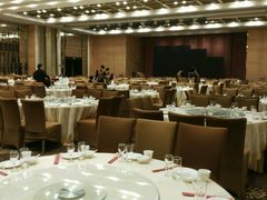 -天津津利华酒店