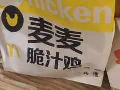 -麦当劳(塔园路店)