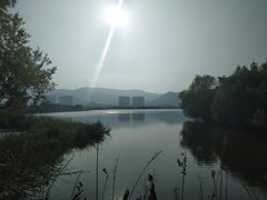 -长兴太湖图影湿地文化园