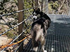 -大明山自然探索公园