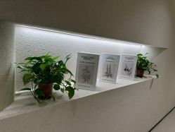 -美丽妈妈产后恢复中心(三林店)