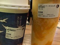 -茶理宜世(东方宝泰店)