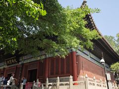 -红螺寺