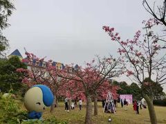 -百万葵园