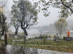 -Supine Bistro溯泮餐厅