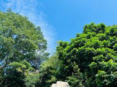 -白云山风景名胜区