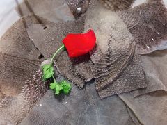 -映山红鲜货火锅(鱼嘴店)