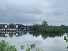 -白鹭湾湿地公园