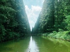 -黄海国家森林公园