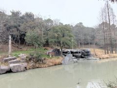 -宁波野生动物园