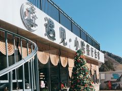 -遇见小院—虹鳟鱼•农家菜(怀柔店)
