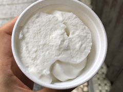 椰子雪糕-洪馨椰子