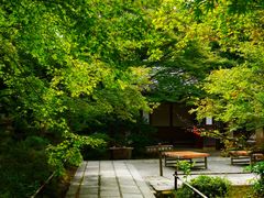-常寂光寺