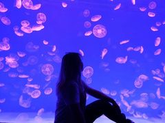 -波塞冬旅游度假区