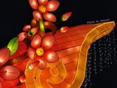 -广州文化公园