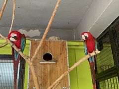 -北京野生动物园