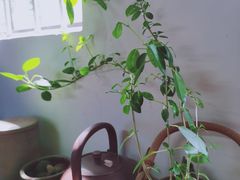 -坂田手造文化街
