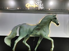 -cavalia·舞马