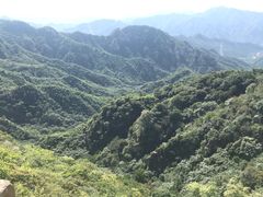 -大岭沟猕猴桃谷风景区