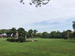 -汉水公园