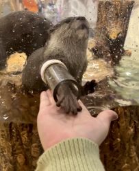 -Zoolung Zoolung动物主题公园(海信广场店)