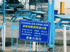 -花海间·即刻露营