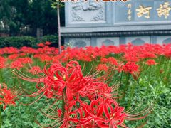 -西安大兴善寺