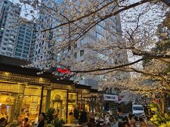 -玛格萝妮比萨屋(四平店)