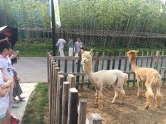 景点-茅山东方盐湖城景区