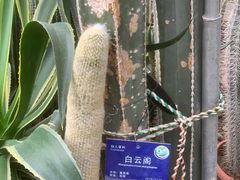 -国家植物园南园