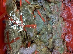 -东江港海鲜城(广雅花园别墅区店)