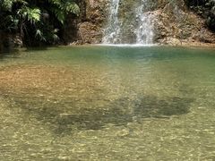-南海湾森林生态园