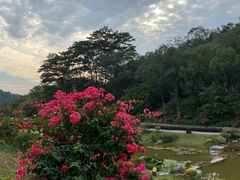 -东莞植物园