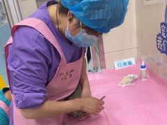 -北京观赏动物医院·24小时大型综合·猫专科·异宠专科