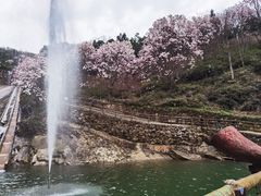 -九皇山景区