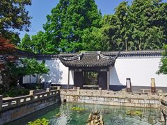 -上海醉白池公园