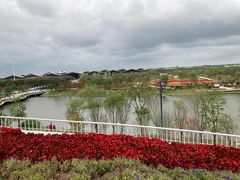 -东平国家森林公园
