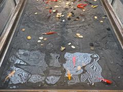 -四季民福烤鸭店(前门店)