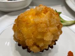 -丁老爷子苏香圆