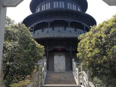 -八大山人梅湖景区