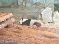 -海南热带野生动植物园