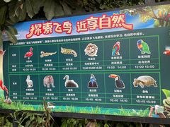 -广州长隆飞鸟乐园