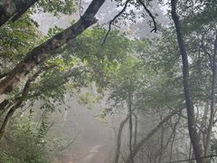 -岣嵝峰国家森林公园