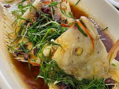 -营记牛肉火锅·大埔客家菜(上梅林店)