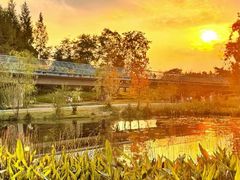 -白鹭湾湿地公园