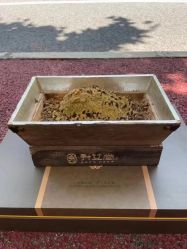 -升艾堂亚健康调理中心