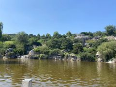 -北京西山国家森林公园