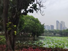 -荔湾湖公园