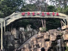 -元江连续刚构世界第一高桥景区