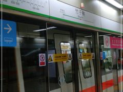 -竹子林(地铁站)